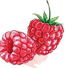Fruit image
